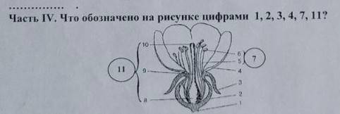 1. раздражимость характерна: а)только для растений б)только для животных в)для всех живых организм
