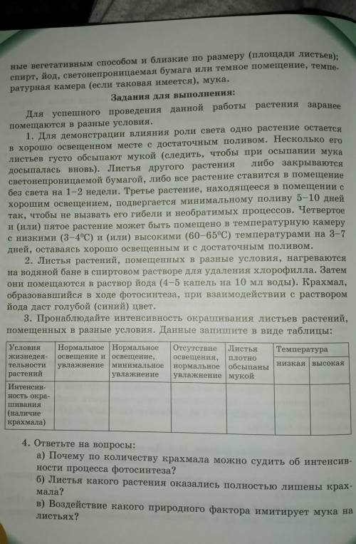Раболаторная работа номер 6
