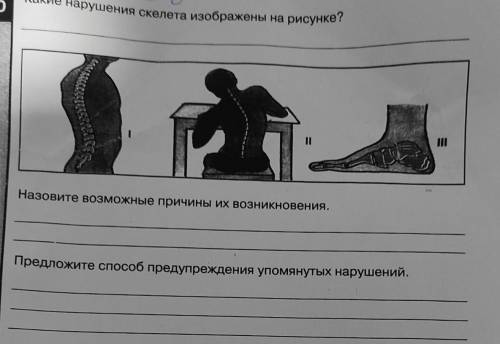 Памагите биология 8 класс