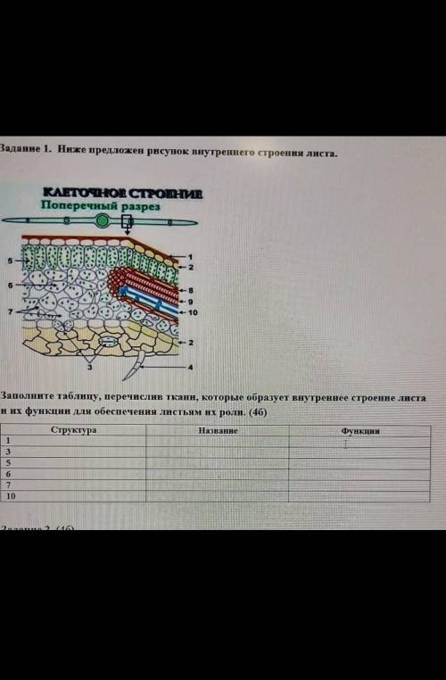ЕСЛИ НАДО БОЛЬШЕ ТО БОЛЬШЕ.