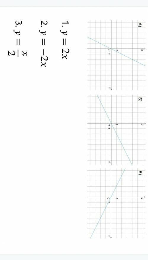 Y=2x, y=-2x, y=x/2, y=-x/2