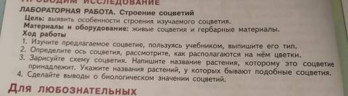 сделать лабораторную работу 