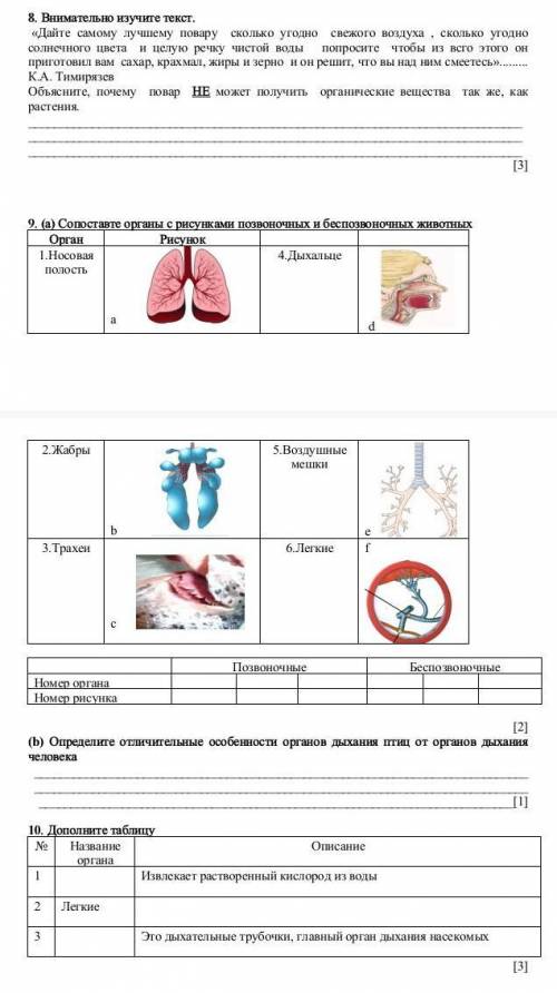 СОЧ за 2 четверть, 1 вариант, 7 класс очень нужно
