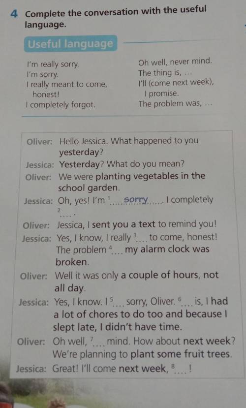 4 Complete the conversation with the usefullanguage.