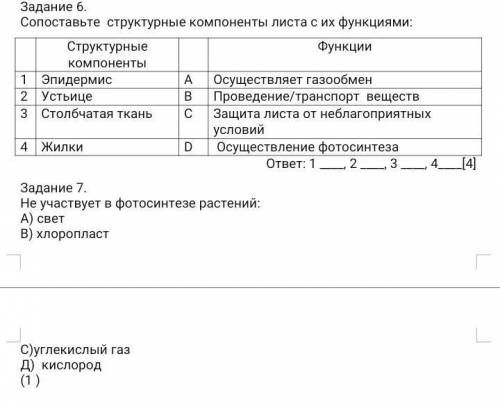 乁( •_• )ㄏя снова ничего не поняла._.