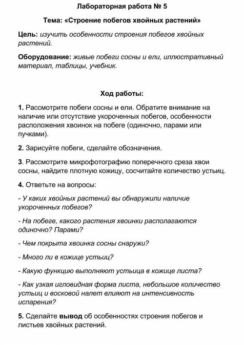 Лабораторная работа по биологии ​