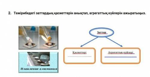Кім біледі степ берндерш жулдыз берем