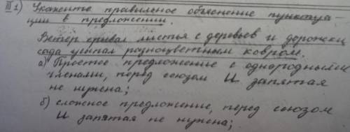 Укажите правильное обьяснение пунктуации в предложении.