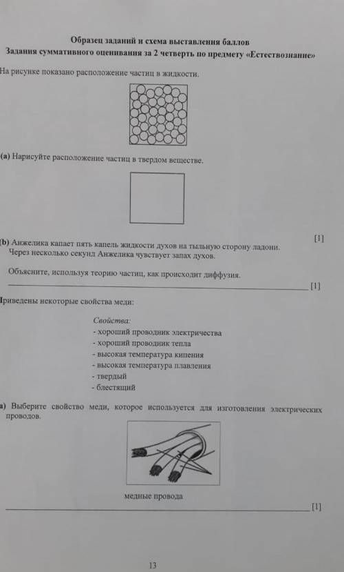 ПО СОЧУ 5 КЛАСС естествознание1-ый лист 