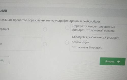 Определите отличия процессов образования мочи: ультрафильтрации и реабсорбции