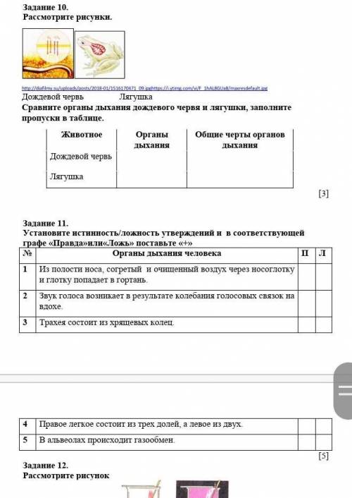 Люди пл за 11 И 10 ЗАДАНИЕ 