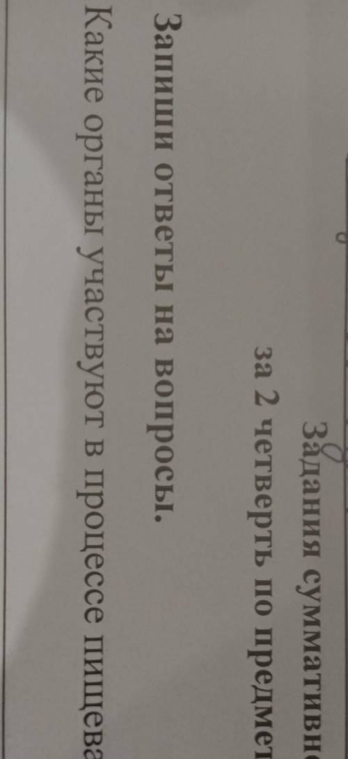 Какие органы участвуют в процессе пищеварения?