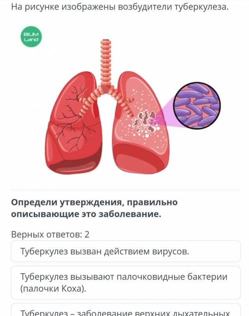 Верных ответов: 2 Туберкулез вызван действием вирусов.Туберкулез вызывают палочковидные бактерии (па