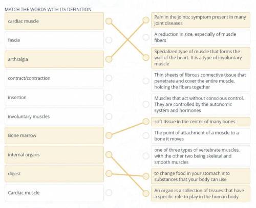 MATCH THE WORDS WTIH ITS DEFINITION