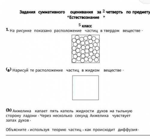 Соч класс 2 четверть естесто знание