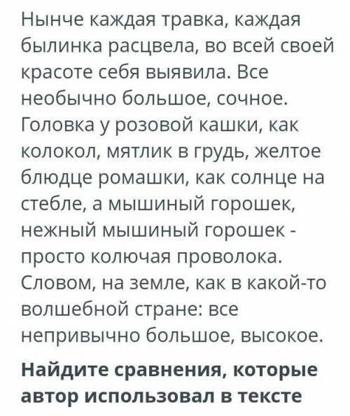 Выпишыте из текста метафору ТЖБ 