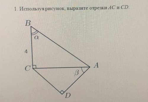1. Используя рисунок, выразите отрезки AC и CD.