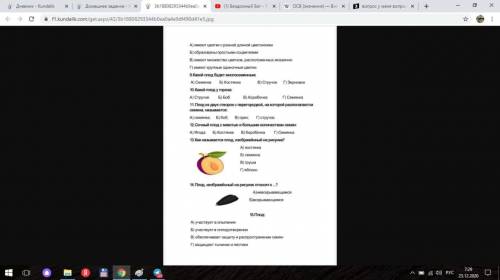 КЛАСС ТЕСТЫ СДЕЛАТЬ 7 8 9 10 11 12 13