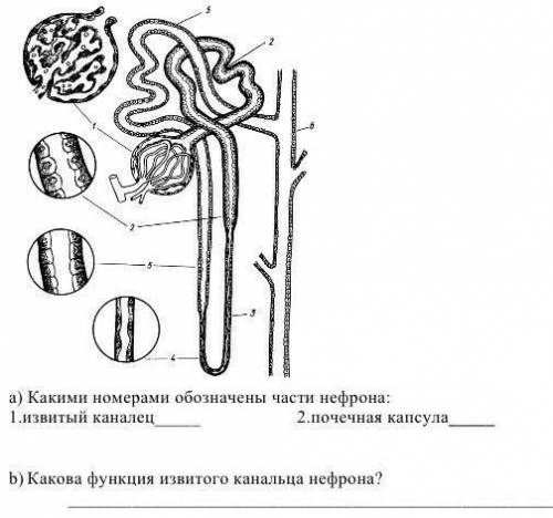 Хэлп а и б, только и всего 