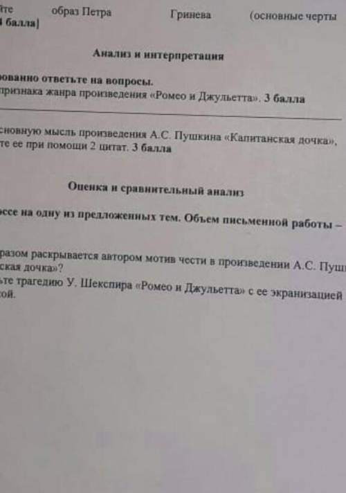 Соч по литературе за 8 класс 2 четверть​
