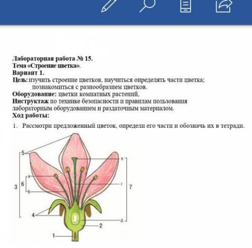 И напишите, рисунок зарисовывать в тетр? 