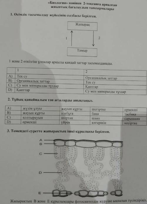 Помагите тжб биология 7 класс 2 четверг