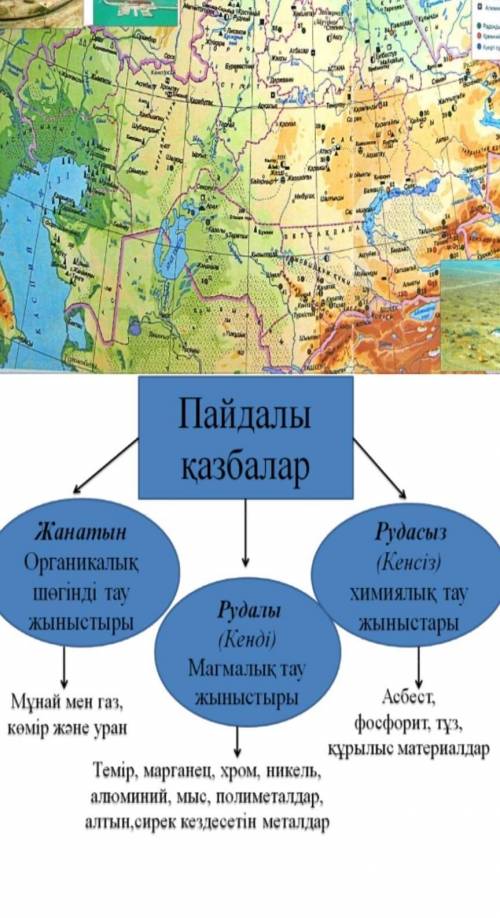 комек тжб жаратылыстану кім бледі