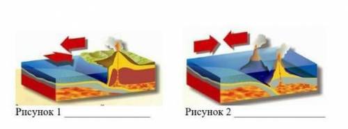 Определи по рисункам какие процесы щемной коры происходят