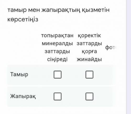 Тамыр мен жапырактар кызмети