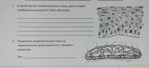 прощу вас, очень нужно. Буду очень благодарна 