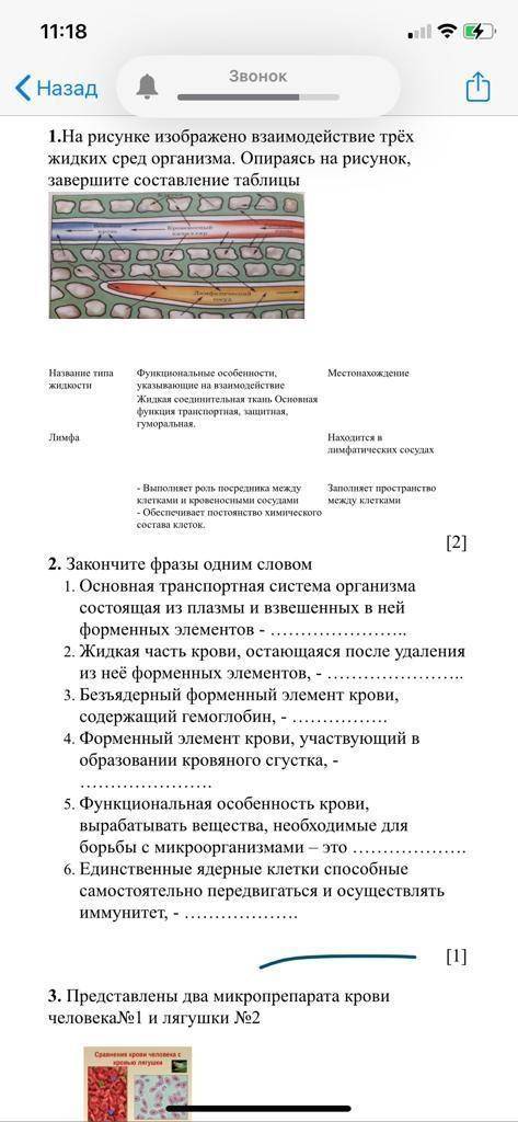 Соч по биологии 8 класс 2 четверть