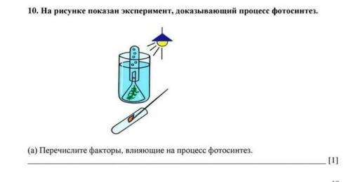 На рисунке показан эксперимент доказывающий процесс фотосинтеза 