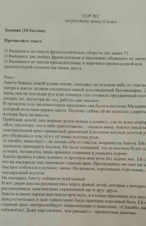 Сор по русскому языку 6 класс за 2 четветь ​