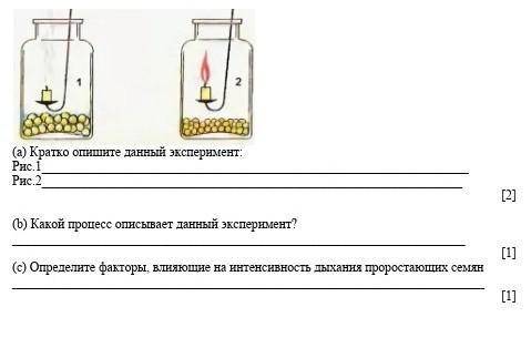На рисунке показан эксперимен