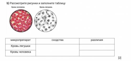 Рассмотрите рисунки и заполните таблицу соч 