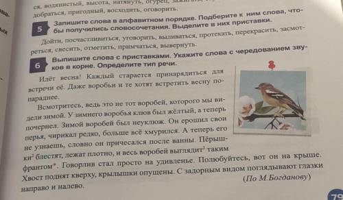 Сделайте 5 и 6 если не можете сделайте либо 6 либо 5 тый решите