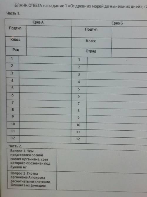 Можете заполнить таблицу на тему От древних морей до нынешних дней