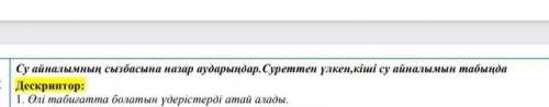 Өлі табиғатта болатын үдерістер 