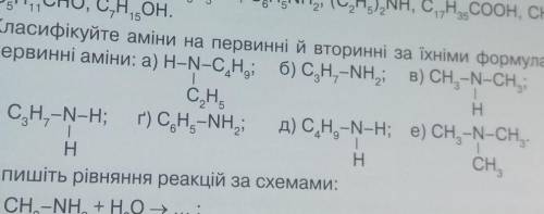 Назовите амины и класифицыруйте 7 шт. 