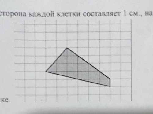 Если сторона клетки составляет 1 см, найдите площадь окрашенной части