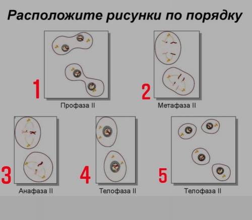 нужно расставить цифры и надписи по порядку 