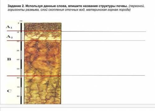Используя данные слова Впишите название структуры почвы