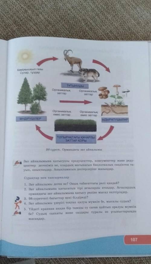 Зат айналымвна қатысушы...
