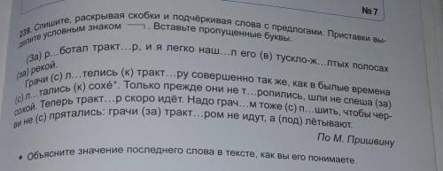 По РУССКОМУ языку 5 класс