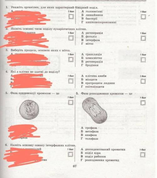 6 вопросов, второй вариант не ленитесь, плата = 20б