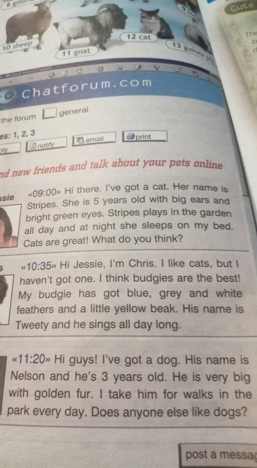 Underline all the present simple verb