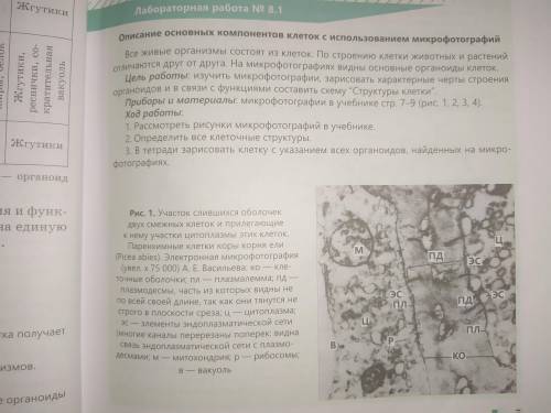 лабараторка по биология за 11 класс