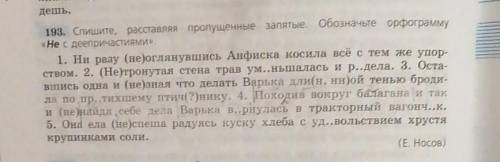 класс русский язык баранов ладыженская 