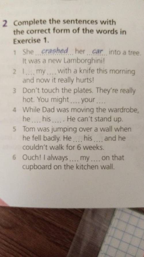 2. Complete the sentences with the correct form ot the words in Exercise 1.