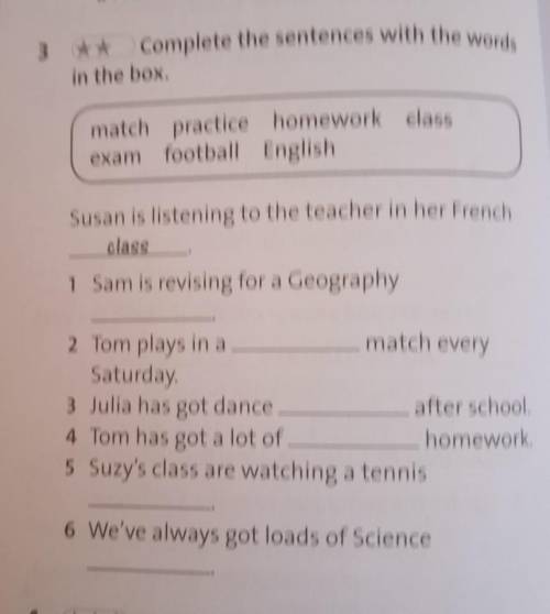 Complete The sentences with the words in the box ​